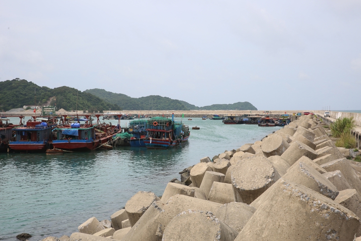 Bão số 7: Quảng Ninh tạm ngừng cấp phép tàu ra khơi một số khu vực biển từ 11h trưa 8/9- Ảnh 1.
