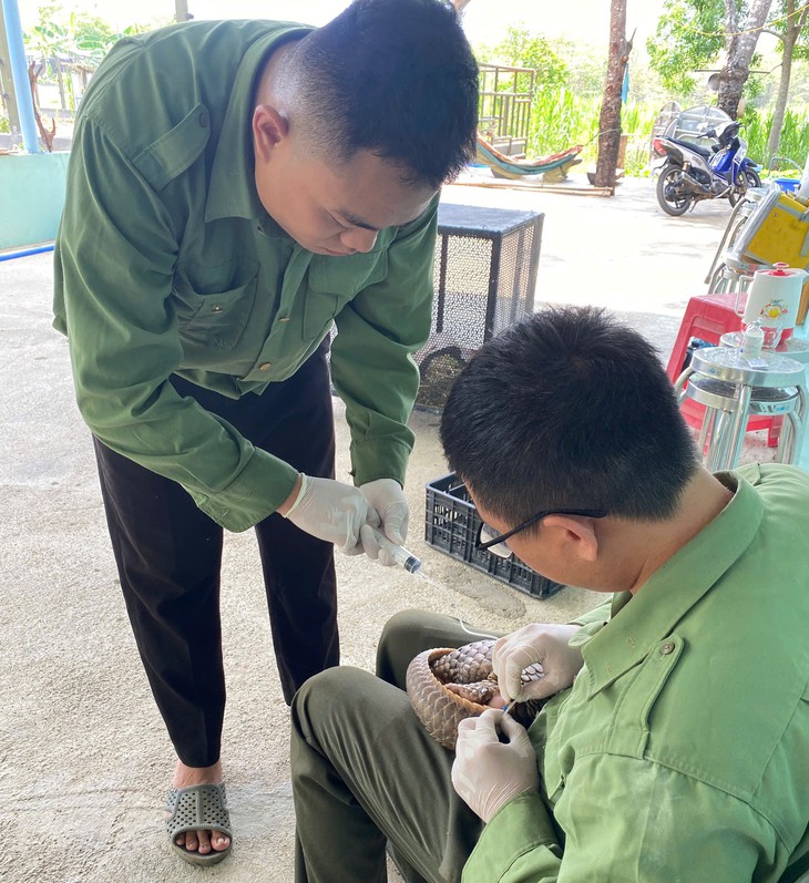 ‘Ngôi nhà đặc biệt’ của động vật quý hiếm- Ảnh 3.