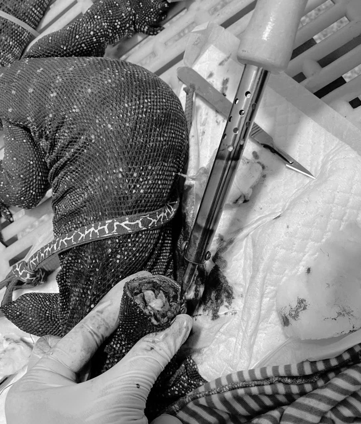 ‘Ngôi nhà đặc biệt’ của động vật quý hiếm- Ảnh 2.