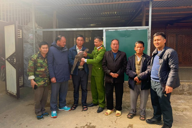 Người dân tự nguyện giao nộp loài gà nguy cấp, quý hiếm
- Ảnh 1.