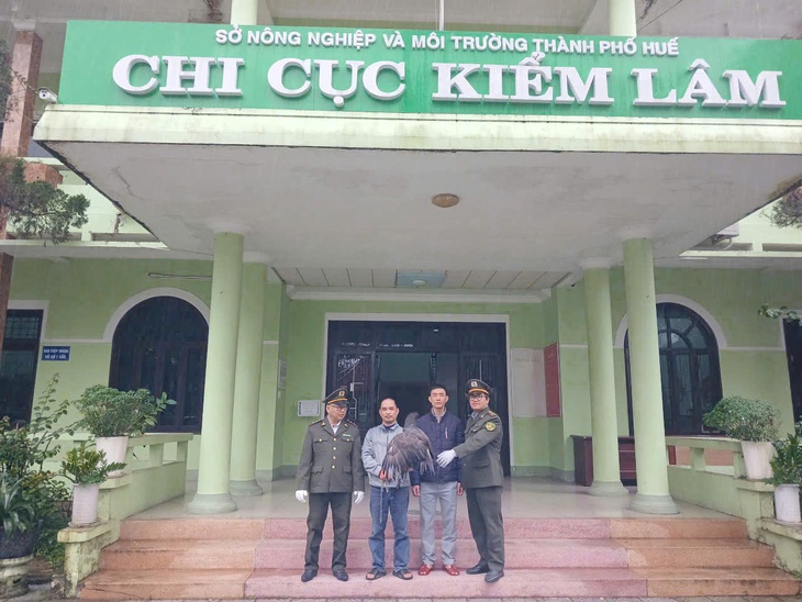 Cá thể đại bàng vừa được giao nộp, tái thả về rừng ở Huế quý hiếm thế nào?- Ảnh 1. Cá thể đại bàng vừa được giao nộp, tái thả về rừng ở Huế quý hiếm thế nào?- Ảnh 1.