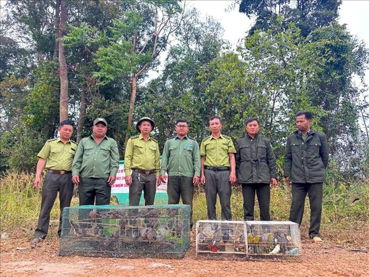 Thả hàng trăm động vật hoang dã về môi trường tự nhiên- Ảnh 1.