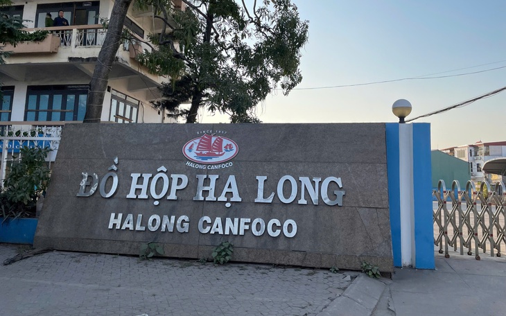 Bắt khẩn cấp Tổng Giám đốc Công ty CP Đồ hộp Hạ Long