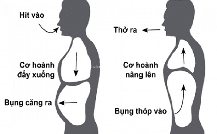 3 cách dưỡng phế, thanh phế giúp giảm tác hại của ô nhiễm không khí- Ảnh 1. 3 cách dưỡng phế, thanh phế giúp giảm tác hại của ô nhiễm không khí- Ảnh 1.