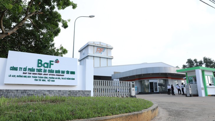 AGR khuyến nghị mua đối với cổ phiếu BAF, BSI và TCB- Ảnh 1.