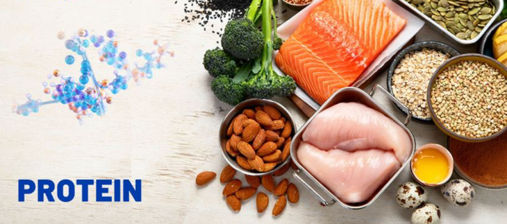 Vai trò của protein trong kiểm soát cân nặng- Ảnh 1.