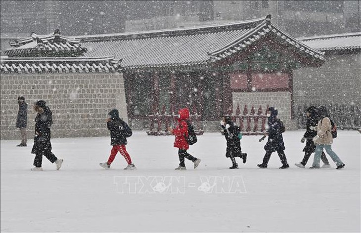 Hàn Quốc trải qua mùa Đông 'lạ'- Ảnh 1. Hàn Quốc trải qua mùa Đông 'lạ'- Ảnh 1.