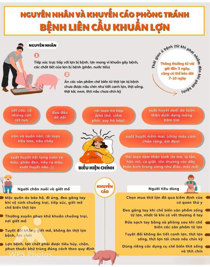 Ngành Y tế khuyến cáo thay đổi thói quen ăn uống để phòng liên cầu lợn- Ảnh 1.