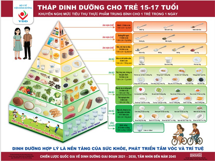 Dinh dưỡng học đường theo tháp dinh dưỡng: Nền tảng cho thể lực, trí lực và tầm vóc tương lai- Ảnh 2. Dinh dưỡng học đường theo tháp dinh dưỡng: Nền tảng cho thể lực, trí lực và tầm vóc tương lai- Ảnh 2.