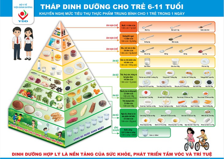 Dinh dưỡng học đường theo tháp dinh dưỡng: Nền tảng cho thể lực, trí lực và tầm vóc tương lai- Ảnh 1. Dinh dưỡng học đường theo tháp dinh dưỡng: Nền tảng cho thể lực, trí lực và tầm vóc tương lai- Ảnh 1.