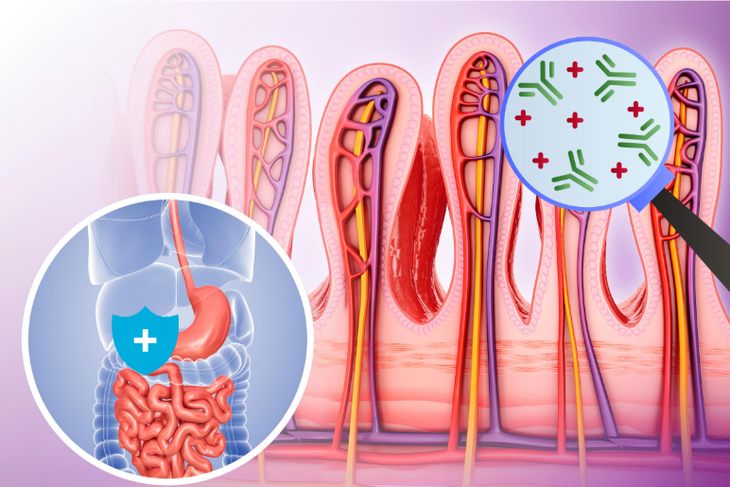 Giải mã nguyên nhân 'thiếu hụt miễn dịch' ở trẻ sinh mổ- Ảnh 2.