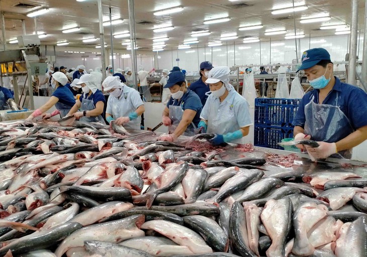 Việt Nam thu gần 2,2 tỷ USD từ xuất khẩu cá tra 2025- Ảnh 1.