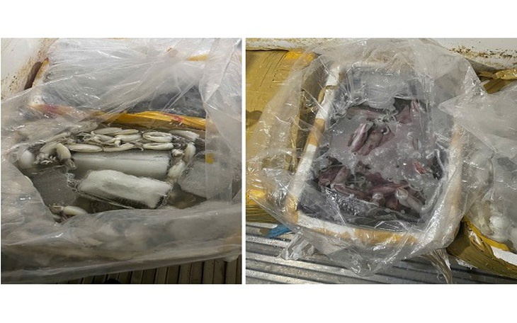 Ngăn chặn hơn 580kg thủy sản không rõ nguồn gốc sắp đưa ra thị trường
