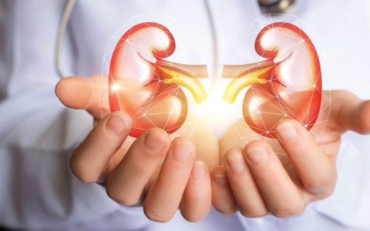 7 thói quen giúp bảo vệ thận- Ảnh 1.