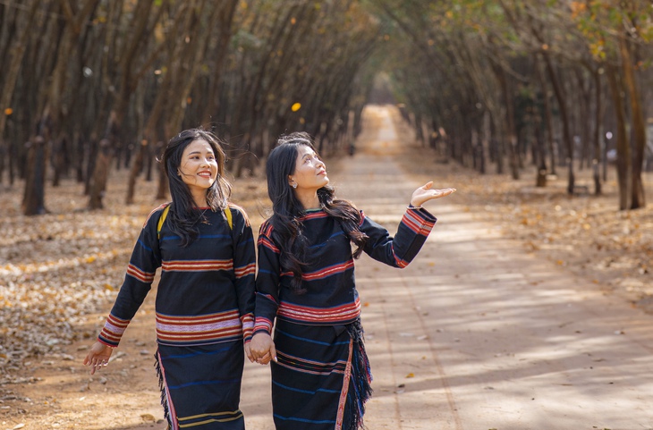 Đẹp hút hồn rừng cao su mùa thay lá ở Tây Nguyên- Ảnh 7.