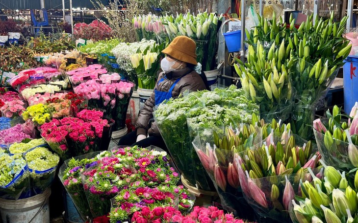 Ở nơi gần 30.000 chậu hoa cúc Tết chưa nở, thương lái đã đặt mua hết- Ảnh 5.