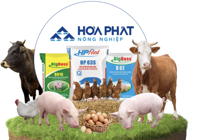 285 triệu cổ phiếu HPA chuẩn bị chào sàn Hose- Ảnh 1.