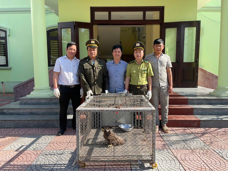 Tiếp nhận, tái thả nhiều cá thể động vật hoang dã quý hiếm ở Huế- Ảnh 1.