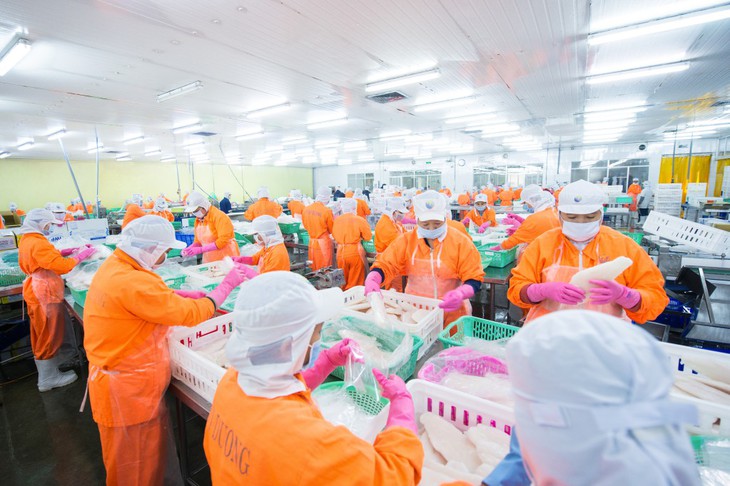 BSC đánh giá cao tiềm năng của cổ phiếu ANV- Ảnh 1.