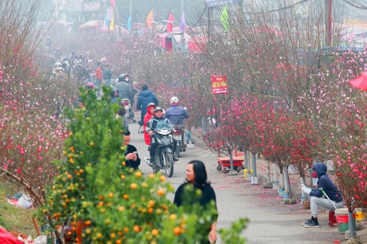 Tết Nguyên đán có khả năng xảy ra mưa nhỏ, mưa phùn- Ảnh 1.