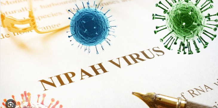 Virus Nipah thuộc họ Paramyxoviridae, có cấu trúc RNA sợi đơn, chiều âm (-ssRNA) và có vỏ bọc lipid. Virus Nipah thuộc họ Paramyxoviridae, có cấu trúc RNA sợi đơn, chiều âm (-ssRNA) và có vỏ bọc lipid.