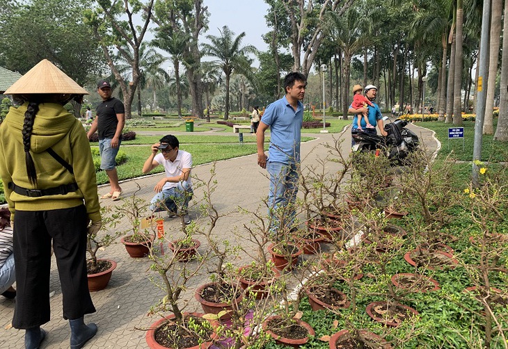 Thị trường mai Tết TP Hồ Chí Minh 'nín thở' chờ sức mua tăng- Ảnh 3.