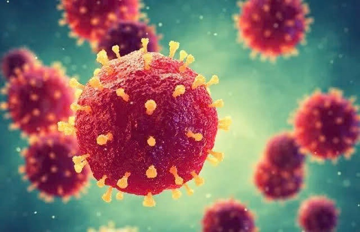 Virus Nipah: Cảnh giác đúng mức, không hoang mang trước nguy cơ xâm nhập- Ảnh 1.