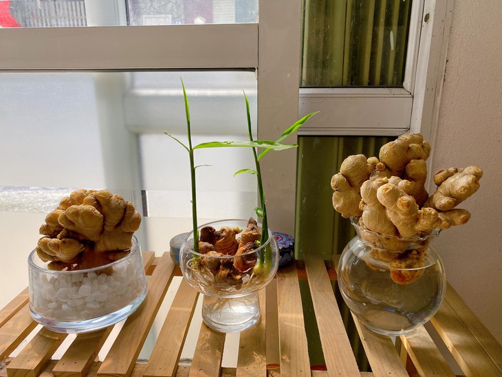 Chơi hoa theo trend, thú vui mới của nhiều chị em đón Tết- Ảnh 5. Chơi hoa theo trend, thú vui mới của nhiều chị em đón Tết- Ảnh 5.