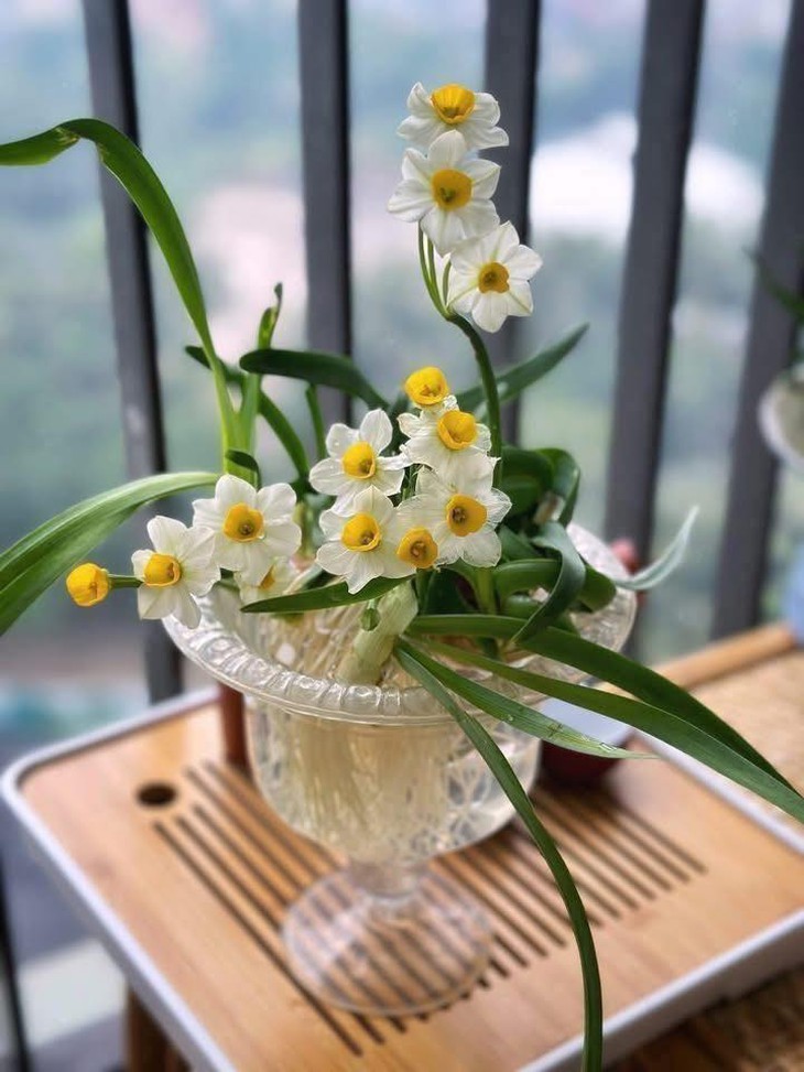 Chơi hoa theo trend, thú vui mới của nhiều chị em đón Tết- Ảnh 4. Chơi hoa theo trend, thú vui mới của nhiều chị em đón Tết- Ảnh 4.