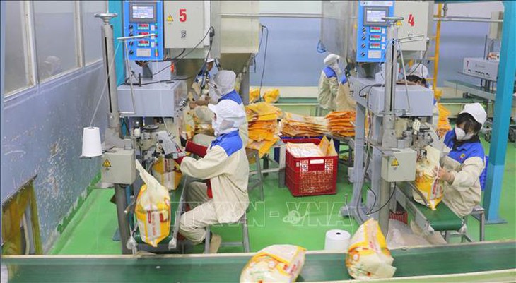 Giá lúa gạo trong nước ổn định, giao dịch trầm lắng- Ảnh 1. Giá lúa gạo trong nước ổn định, giao dịch trầm lắng- Ảnh 1.