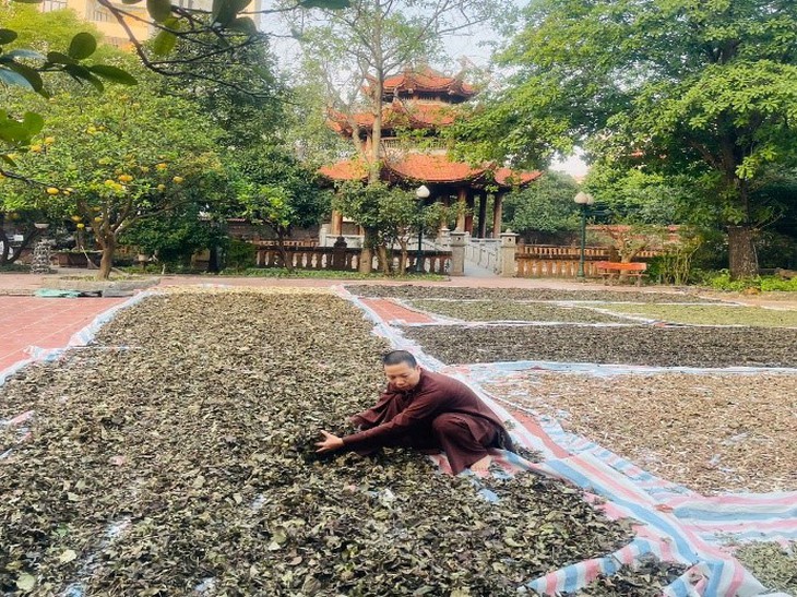 Sư cô Thích Đàm Thái - Ngọn đèn sáng trong y học cổ truyền dân tộc- Ảnh 2.