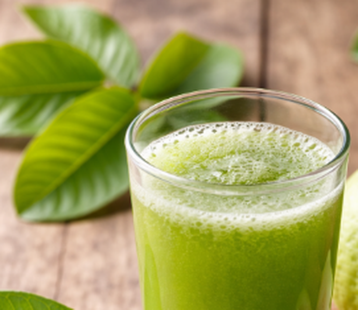 Nước ép lá ổi có tác dụng gì?- Ảnh 1.