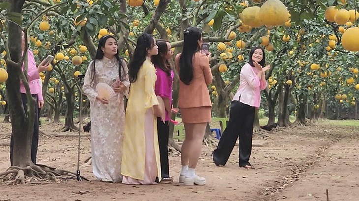 ‘Check-in', săn lùng đặc sản tại thủ phủ bưởi Diễn- Ảnh 4.