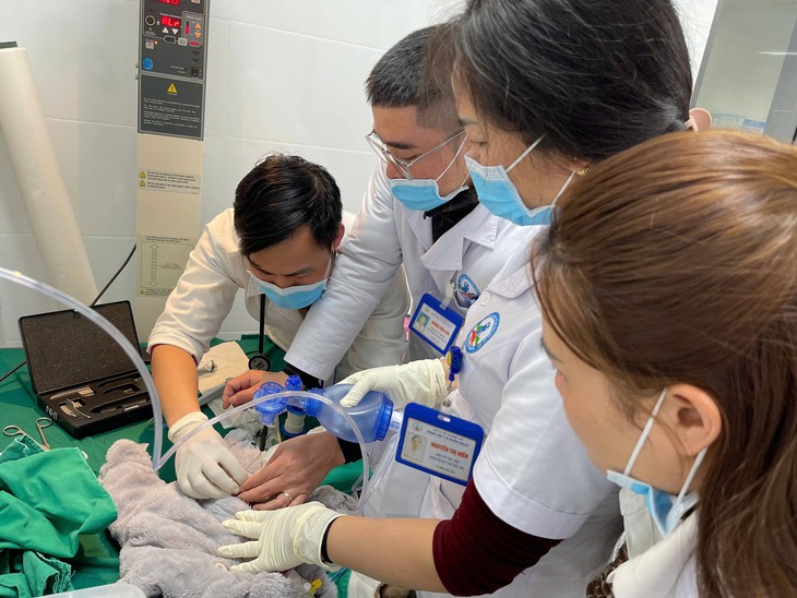 Cấp cứu kịp thời, chuyển tuyến an toàn ca sinh non 28 tuần nặng 900 gram- Ảnh 1. Cấp cứu kịp thời, chuyển tuyến an toàn ca sinh non 28 tuần nặng 900 gram- Ảnh 1.