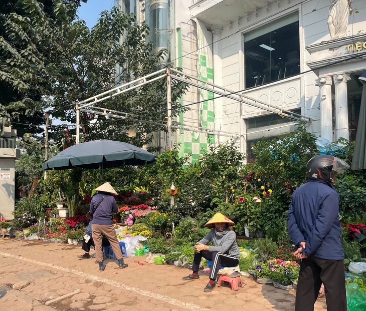 Hoa Tết xuống phố sớm, quất cảnh đã 'lên kệ'- Ảnh 1. Hoa Tết xuống phố sớm, quất cảnh đã 'lên kệ'- Ảnh 1.
