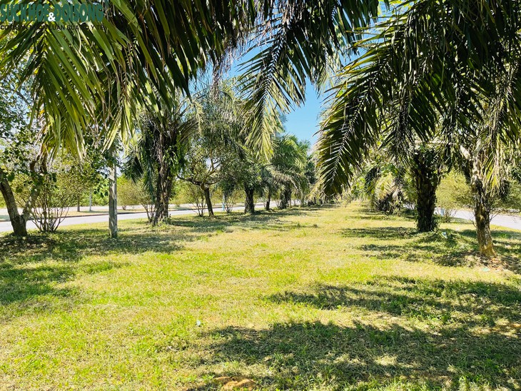 Rời nội đô hơn 30 km, sinh viên sống thế nào ở Hòa Lạc?- Ảnh 3.