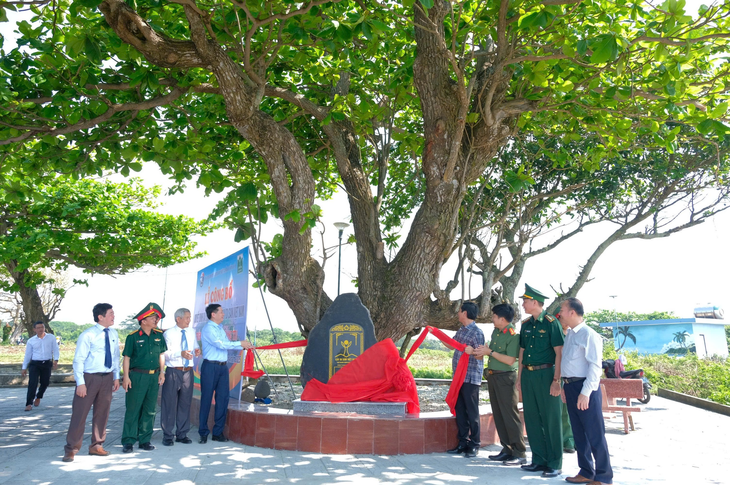 Cận cảnh những loài cây di sản hàng trăm tuổi trên đảo Cồn Cỏ- Ảnh 3.