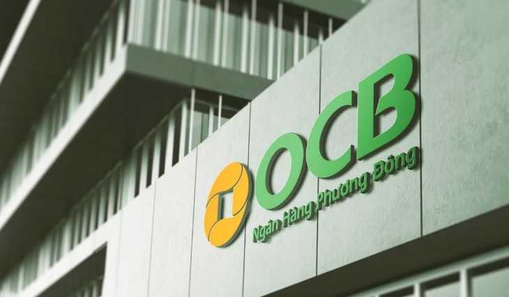 Thanh tra phát hiện các tồn tại, hạn chế tại OCB Đà Nẵng - Ảnh 1.