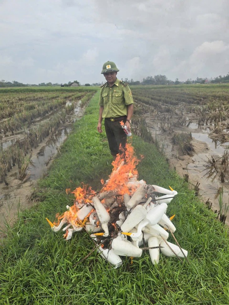 Hàng nghìn con cò trắng kéo về cánh đồng Nghệ An - Ảnh 3.