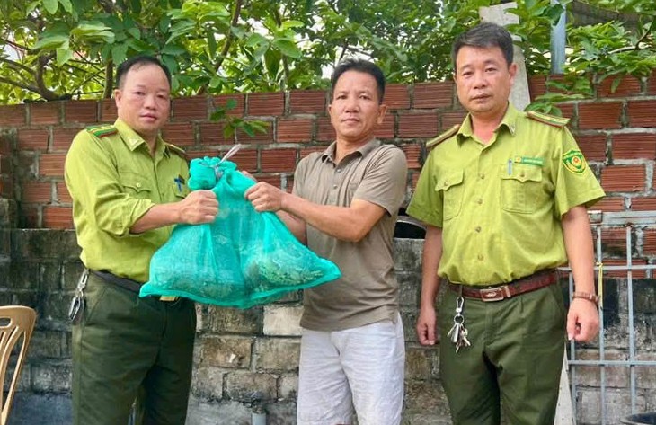 Người dân bắt được trăn đất nặng 15kg quý hiếm trong lúc làm tường bao - Ảnh 1.