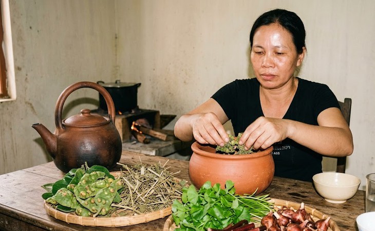 Gợi ý 3 bài có lá sung hỗ trợ làm mát gan và thanh - Ảnh 1.