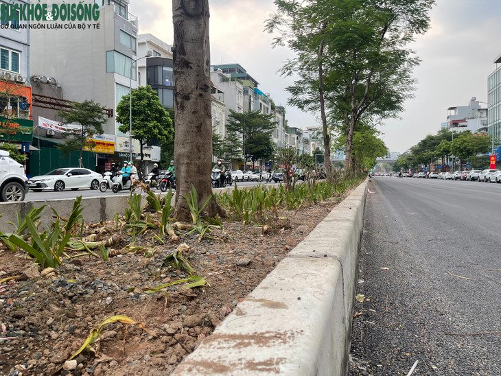 Hà Nội: Cận cảnh đường Ô Chợ Dừa sau khi xén dải phân cách, mở rộng- Ảnh 7.