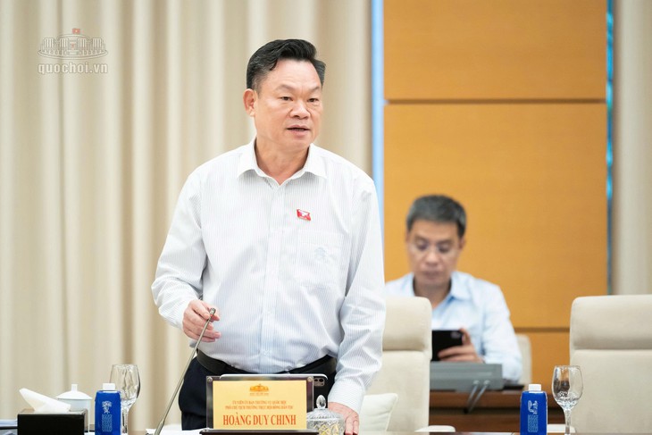 UBTVQH đề nghị hoàn thiện quy định về giá thuốc, bảo hiểm y tế- Ảnh 5.