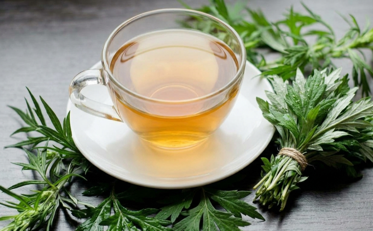 Nước lá ngải cứu có tác dụng gì? - Ảnh 1.