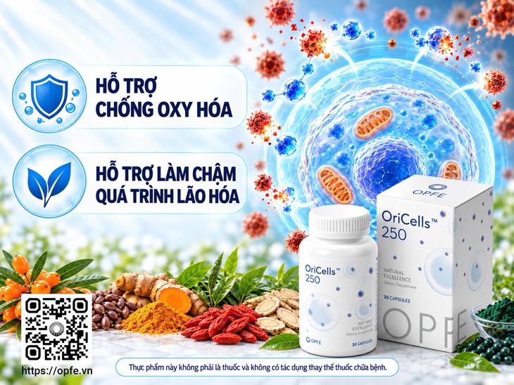 Cách Oricells™ tiếp cận quá trình hỗ trợ làm chậm quá trình lão hóa- Ảnh 2.