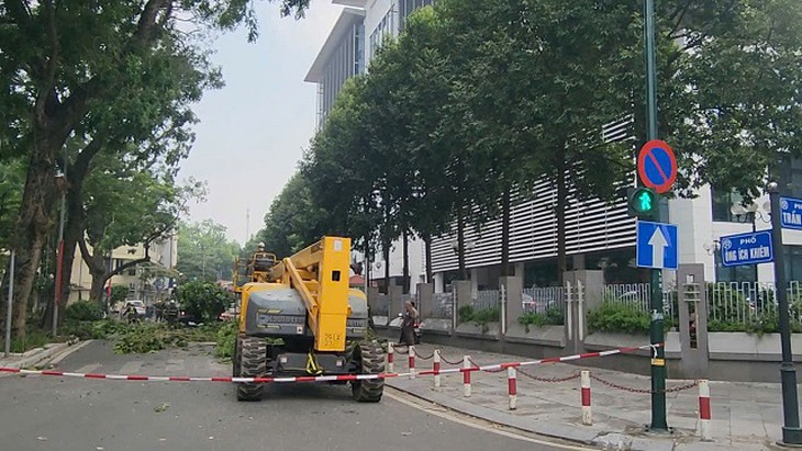Hà Nội chăm sóc gần 70.000 cây xanh thế nào để đẹp phố, an toàn mùa bão?- Ảnh 3.
