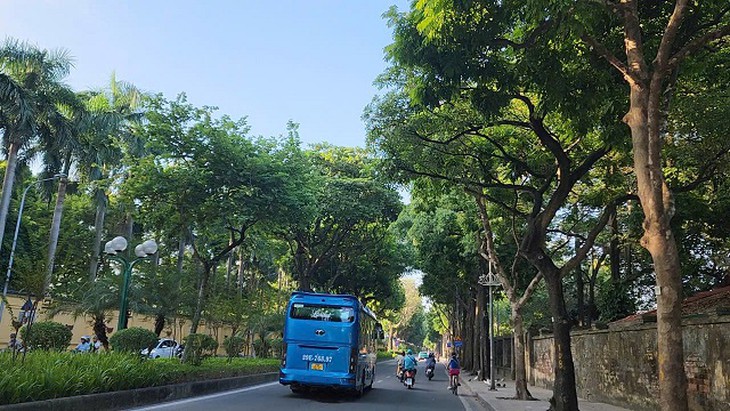 Hà Nội chăm sóc gần 70.000 cây xanh thế nào để đẹp phố, an toàn mùa bão?- Ảnh 6.