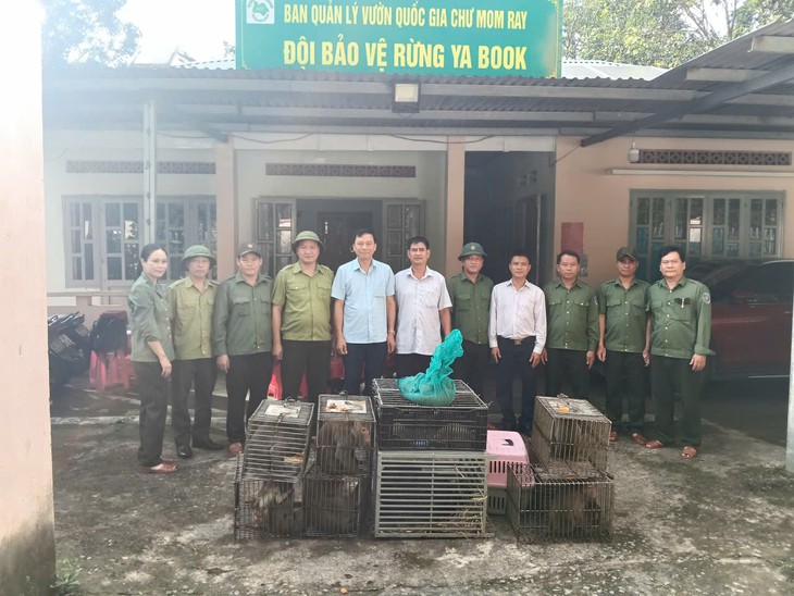Vượt đèo dốc đưa 16 cá thể động vật nguy cấp, quý hiếm thả về rừng- Ảnh 1.