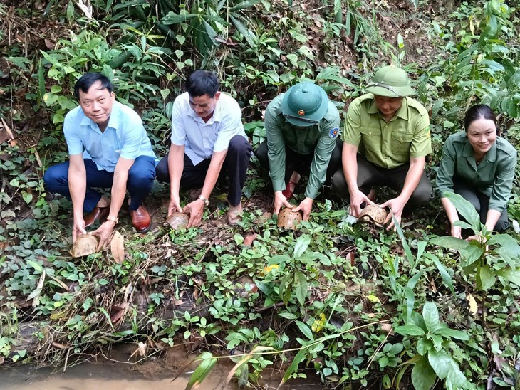 Vượt đèo dốc đưa 16 cá thể động vật nguy cấp, quý hiếm thả về rừng- Ảnh 3.