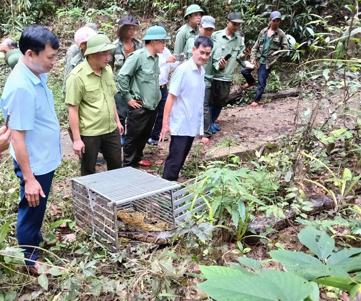Vượt đèo dốc đưa 16 cá thể động vật nguy cấp, quý hiếm thả về rừng- Ảnh 4.